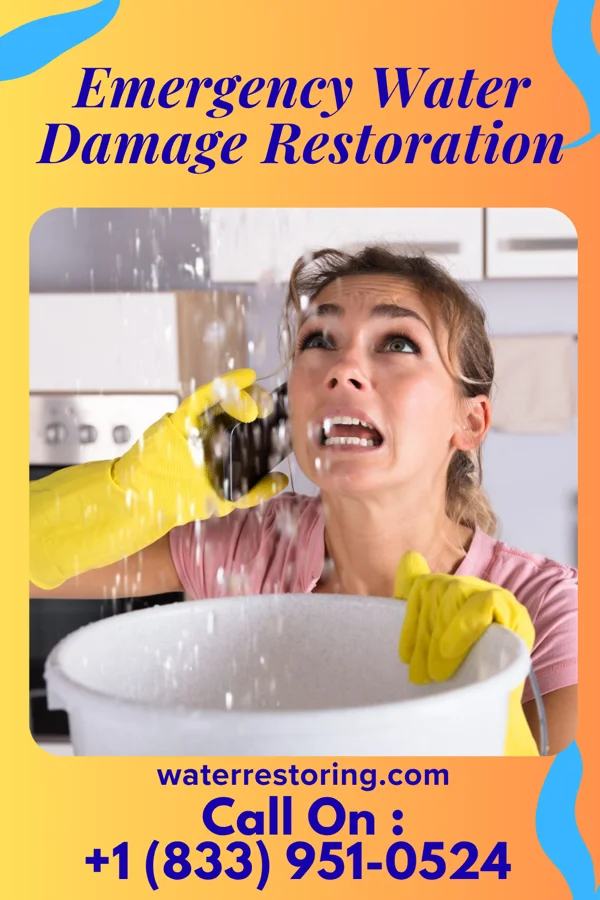 Emergency Water Damage Restoration in Sea Ranch, CA